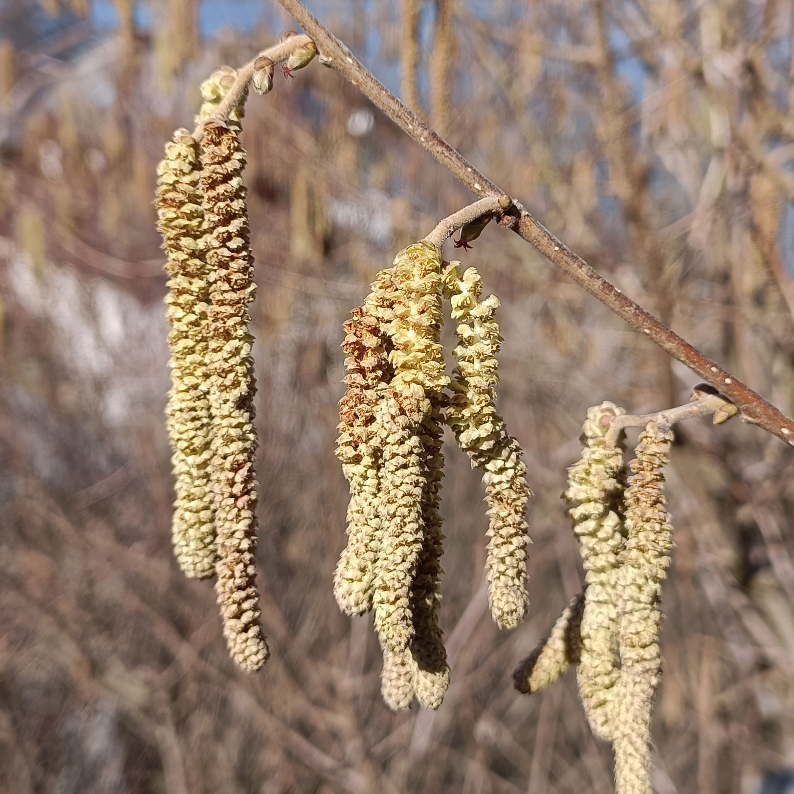 Was wir vom Frühling über Veränderung lernen können