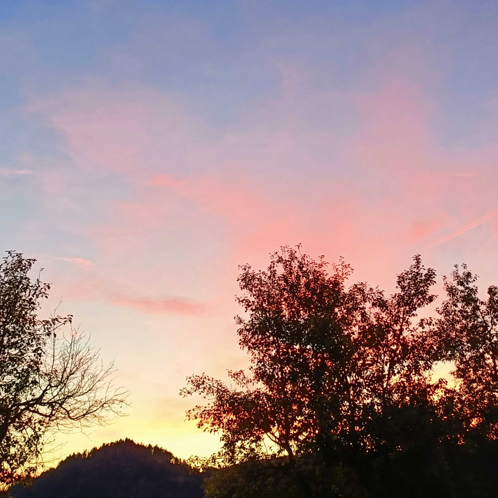 Blog Foto Zwischen Dankbarkeit und Vorfreude